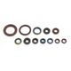 Engine Oil Seals Kit