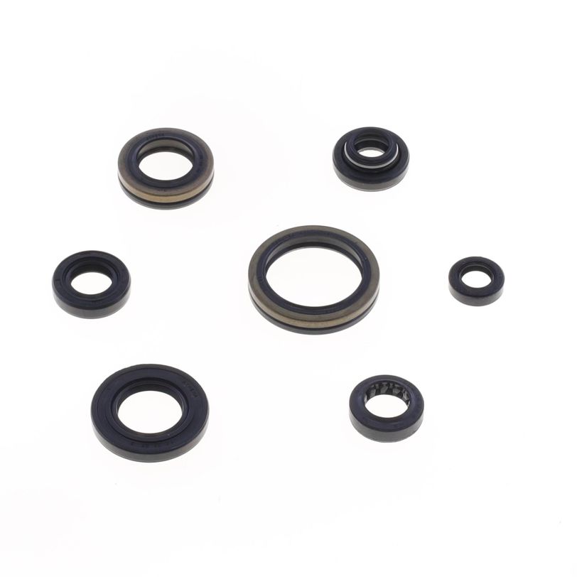 Engine Oil Seals Kit