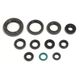 Engine Oil Seals Kit
