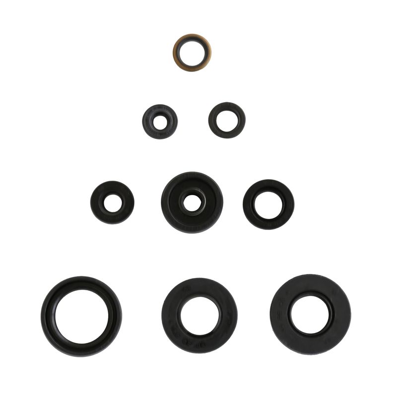 Engine Oil Seals Kit