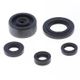 Engine Oil Seals Kit