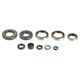 Engine Oil Seals Kit