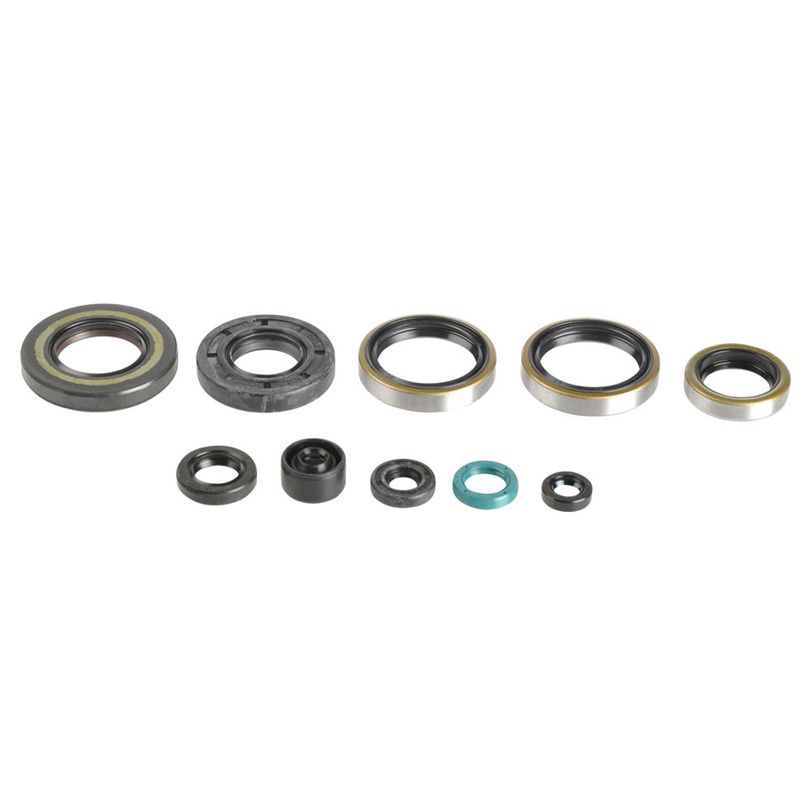 Engine Oil Seals Kit
