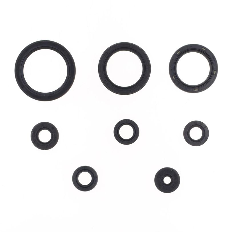 Engine Oil Seals Kit