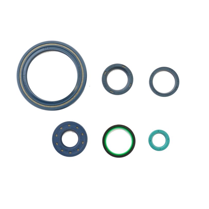 Engine Oil Seals Kit