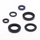 Engine Oil Seals Kit