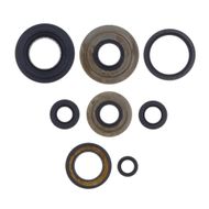 Engine Oil Seals Kit