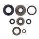 Engine Oil Seals Kit