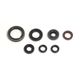 Engine Oil Seals Kit