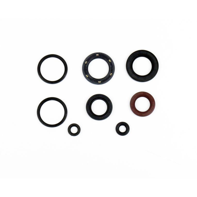 Engine Oil Seals Kit