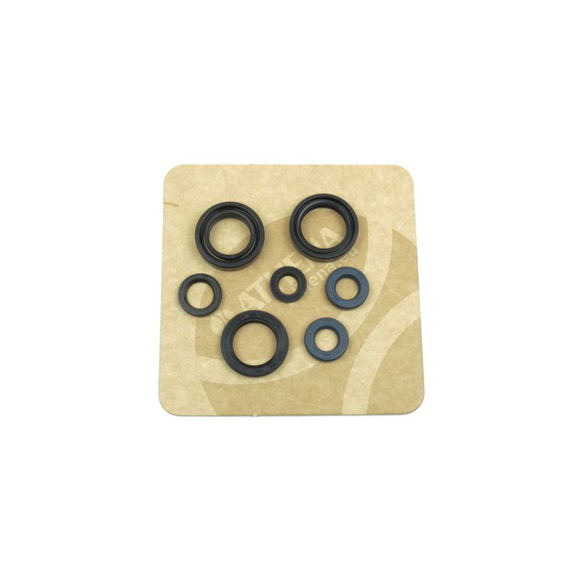 Engine Oil Seals Kit