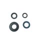 Engine Oil Seals Kit