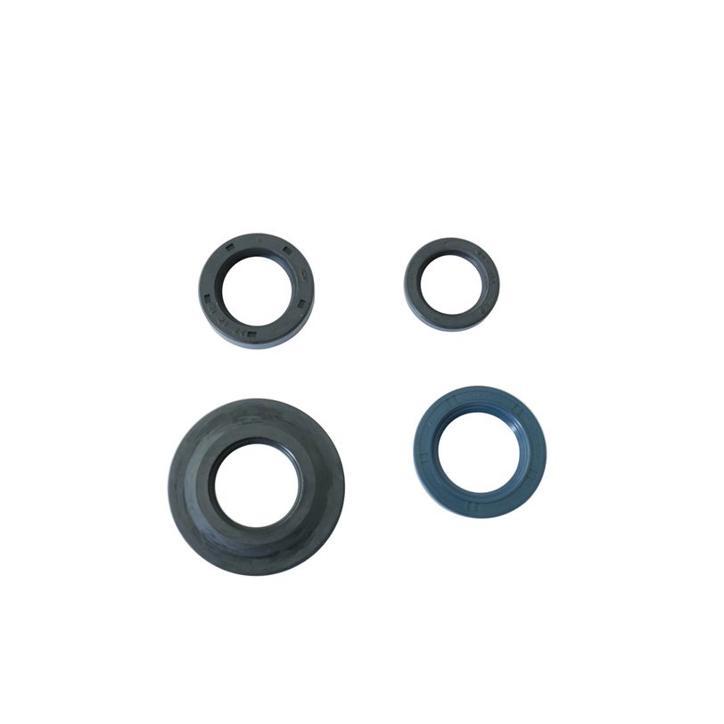 Engine Oil Seals Kit
