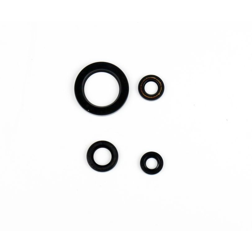 Engine Oil Seals Kit
