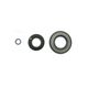 Engine Oil Seals Kit