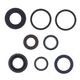 Engine Oil Seals Kit