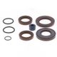 Engine Oil Seals Kit