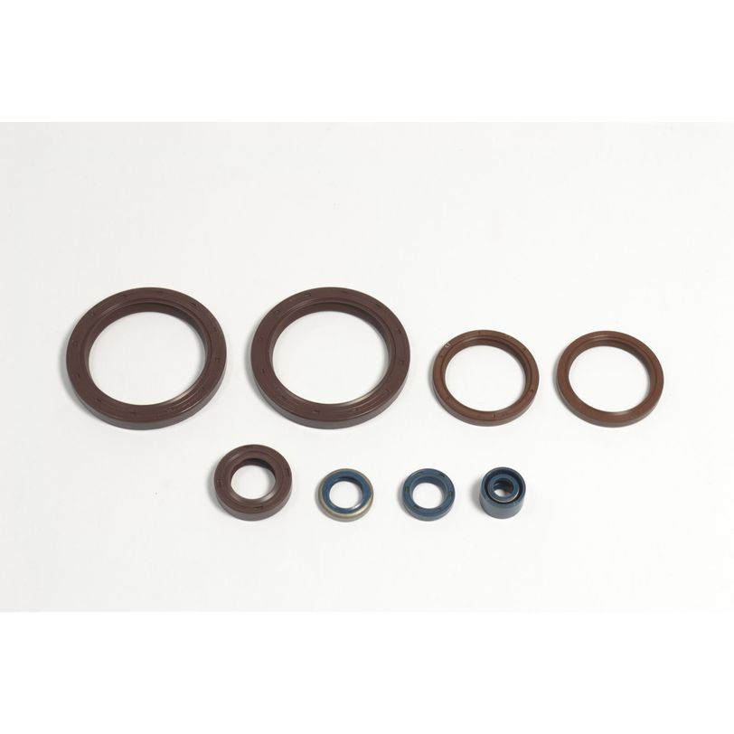 Engine Oil Seals Kit