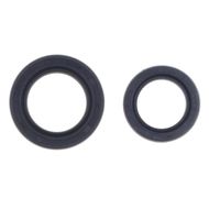 Engine Oil Seals Kit