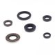 Engine Oil Seals Kit