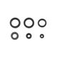 Engine Oil Seals Kit