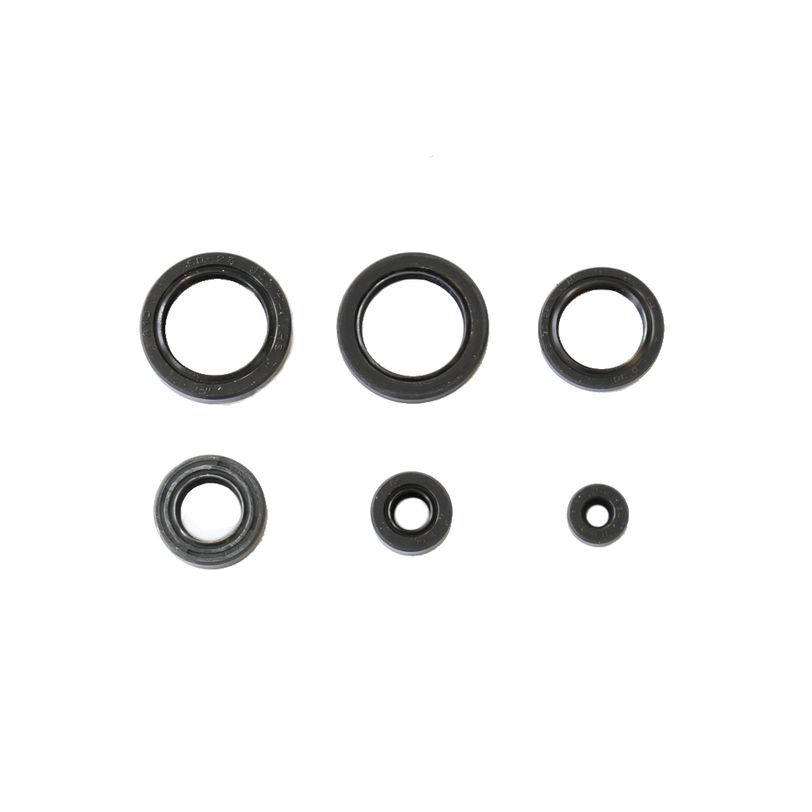 Engine Oil Seals Kit