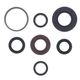 Engine Oil Seals Kit