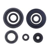 Engine Oil Seals Kit
