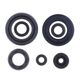Engine Oil Seals Kit