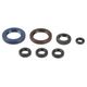 Engine Oil Seals Kit
