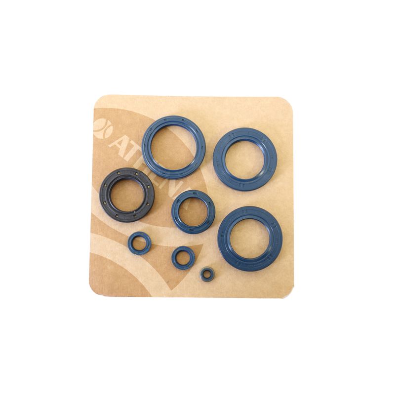 Engine Oil Seals Kit