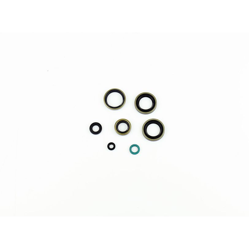 Engine Oil Seals Kit