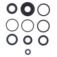 Engine Oil Seals Kit