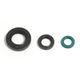 Engine Oil Seals Kit
