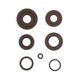 Engine Oil Seals Kit