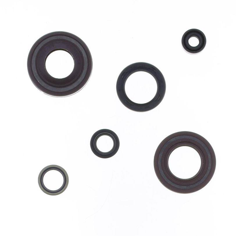Engine Oil Seals Kit