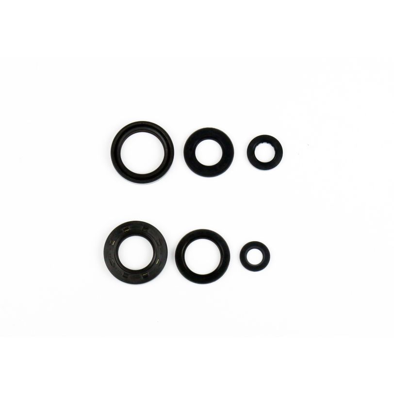 Engine Oil Seals Kit