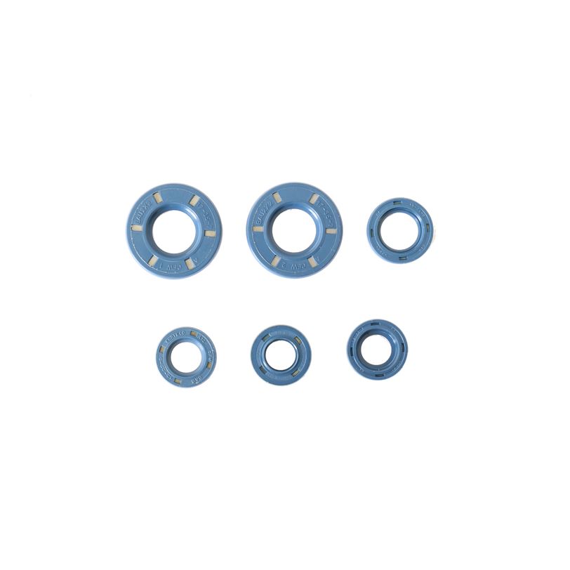 Engine Oil Seals Kit