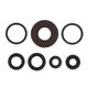 Engine Oil Seals Kit