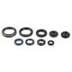 Engine Oil Seals Kit