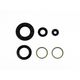 Engine Oil Seals Kit