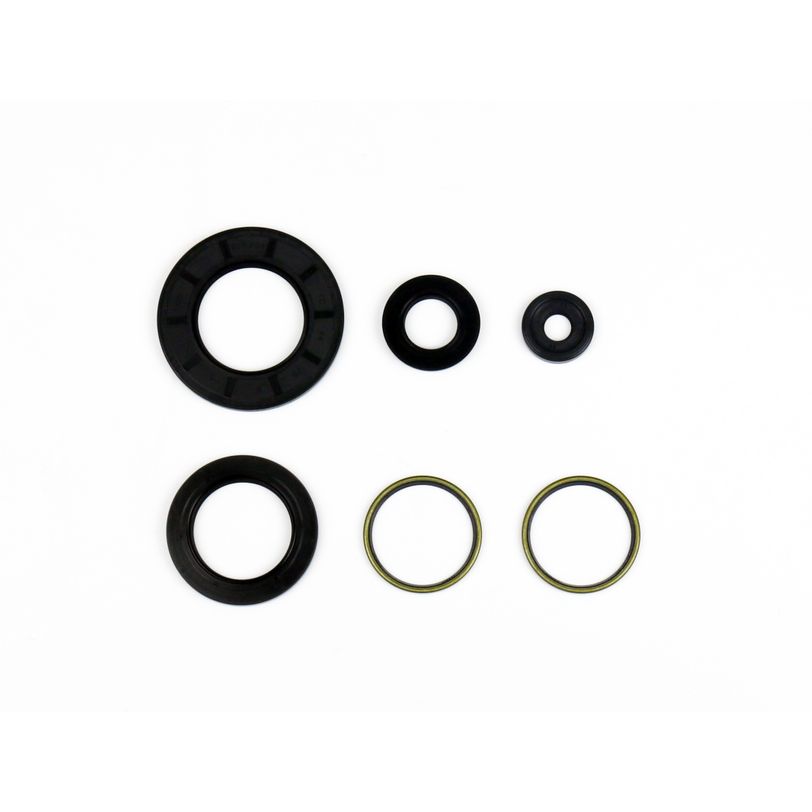 Engine Oil Seals Kit