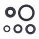 Engine Oil Seals Kit