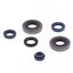 Engine Oil Seals Kit