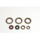 Engine Oil Seals Kit