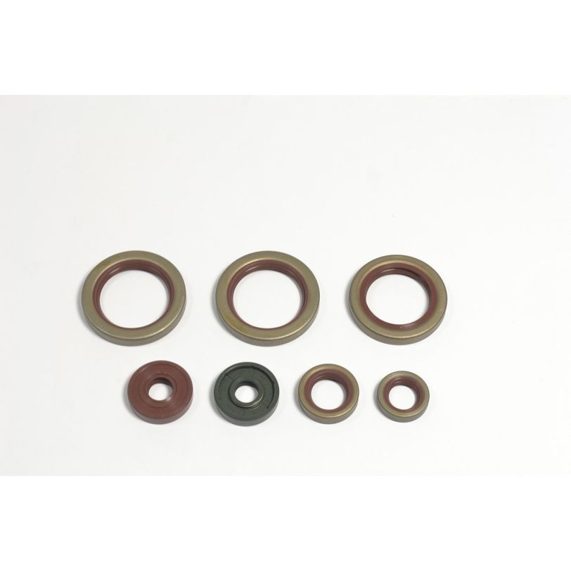 Engine Oil Seals Kit