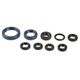 Engine Oil Seals Kit
