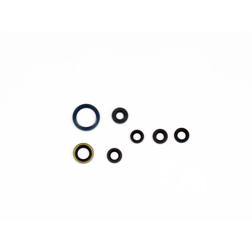 Engine Oil Seals Kit