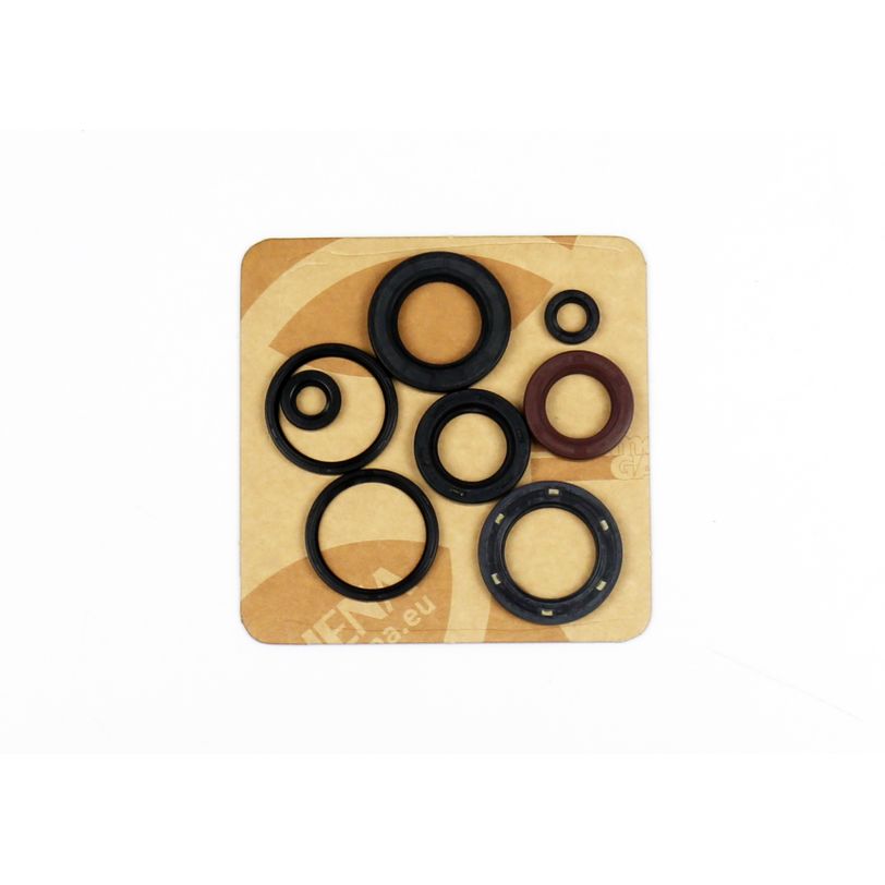 Engine Oil Seals Kit