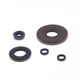 Engine Oil Seals Kit